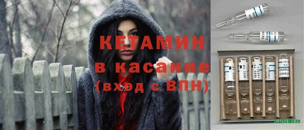 шишки Верея